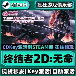 Steam正版终结者2D无命 激活码CDKey入库 Terminator 2D: NO FATE