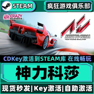 Steam正版神力科莎 激活码CDKey入库 Assetto Corsa全DLC竞速游戏