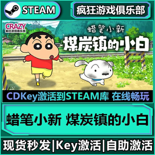 激活码 小白 CDK入库全球国区全DLC游戏 蜡笔小新煤炭镇 Steam正版