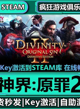 Steam正版神界原罪2 激活码CDKey入库 全DLC战术角色扮演策略游戏