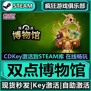 Point Steam正版 CDKey入库Two 全DLC游戏激活码 Museum 双点博物馆