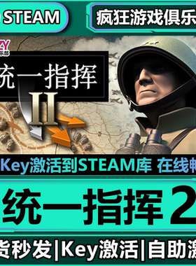 Steam正版统一指挥2 全DLC游戏激活码入库  Unity of Command II