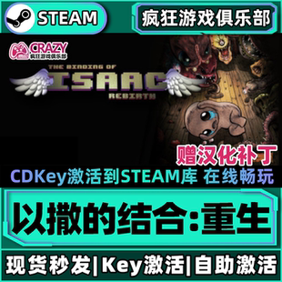 CDKey入库 Steam正版 激活码 结合重生 全DLC动作类Rogue游戏 以撒