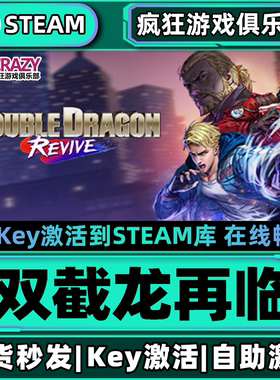 Steam正版双截龙再临 激活码CDKey入库Double Dragon Revive全DLC