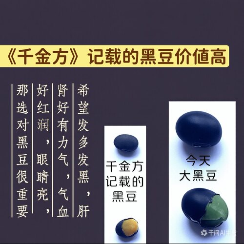 天然豆浆小黑豆新货非转基因老品种中药肾形黄心非绿心芯有机黑豆