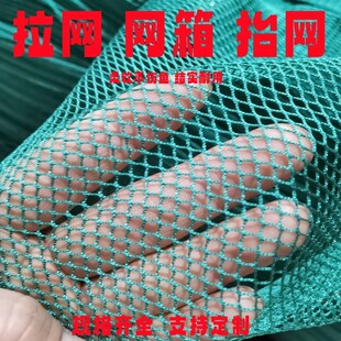 定制无结尼龙渔网拉网抬网拖网清塘隔断网养鱼网箱养殖网鱼网网片
