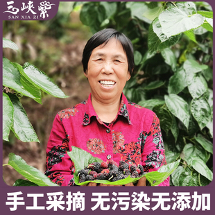 三峡紫  丰都县特产  原味精选桑葚干 240g