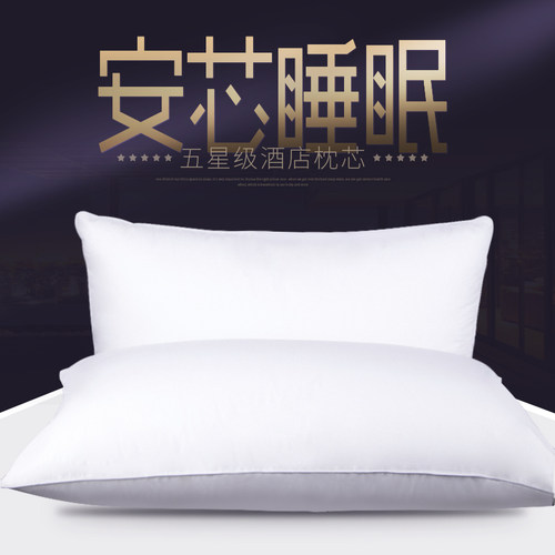 一对枕头枕头枕芯一对保健单人