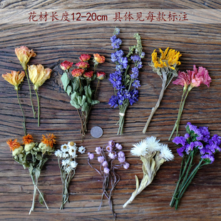【多彩真花干花】天然风干玫瑰向日葵罗丹斯银苞菊旱雪莲手工材料