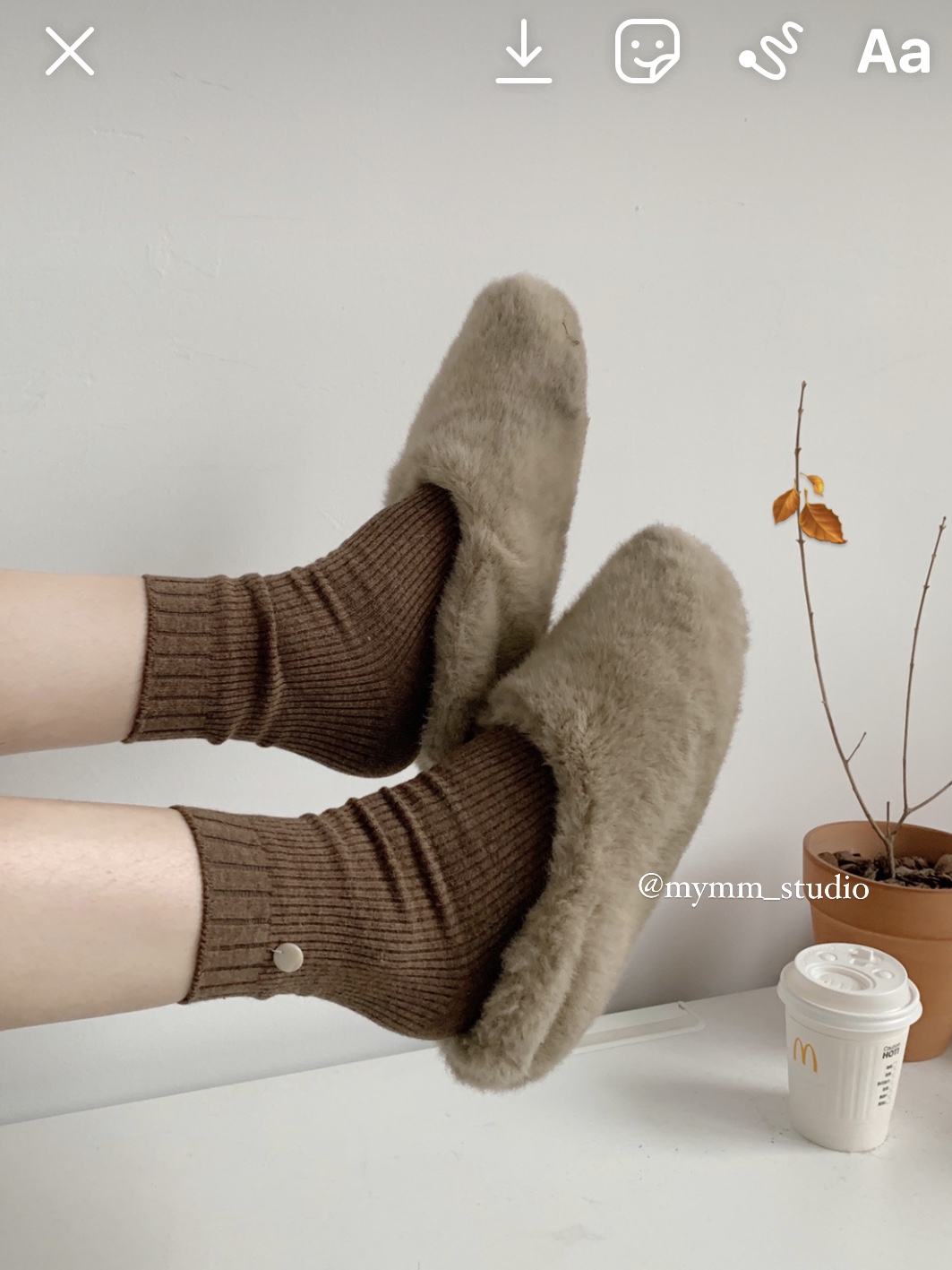 精致小公主氛围小贝母短袜