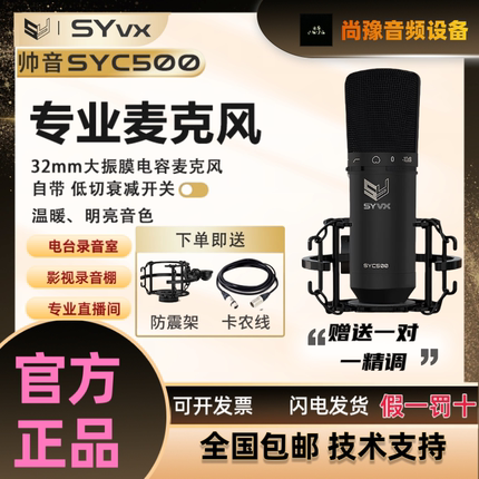 SYVX/帅音大振膜音头电容麦克风专业录音棚K歌直播麦克风音频话筒