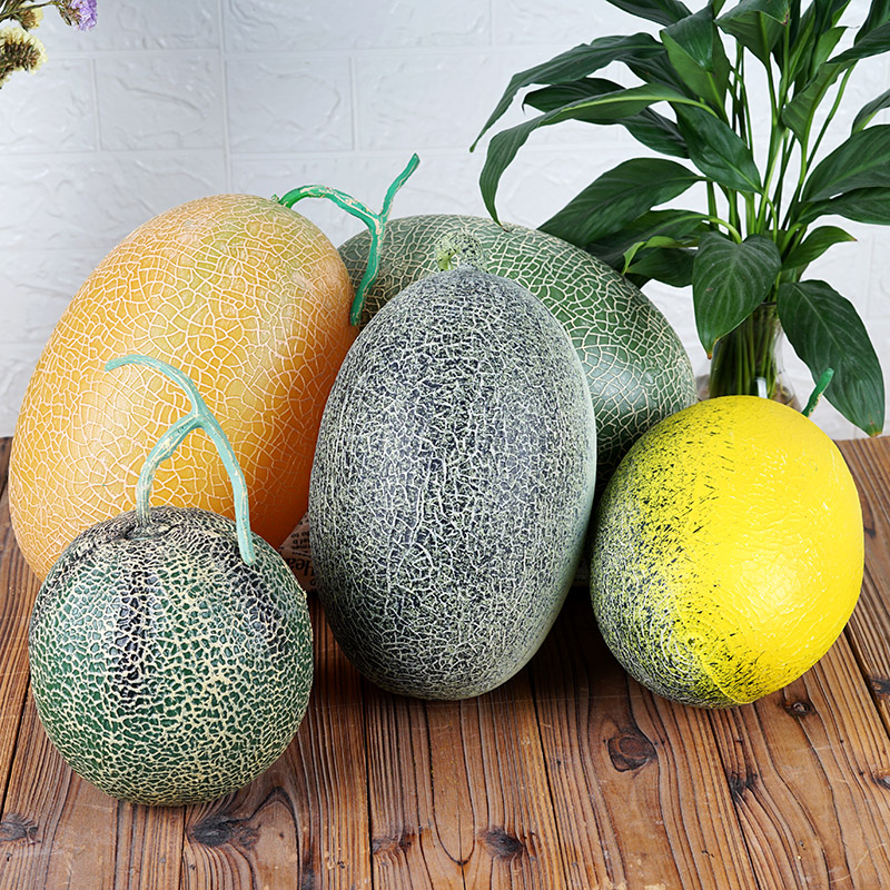 摄影水果蔬菜模型哈密瓜道具