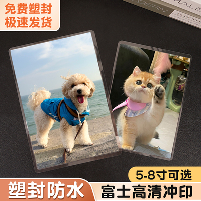 易飞洗照片6寸塑封冲印相册结婚冲洗5寸定制包邮洗相片打印高质量