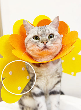 伊丽莎白圈项圈猫狗脖套脖圈防舔咬毛毡太阳花头套术后防咬脖圈