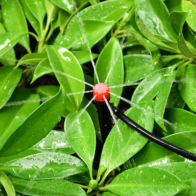 家用定时自动浇花器家庭花园菜地盆景滴灌洒水滴灌自动浇花控制器