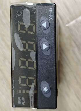 咨询温度控制器 BR6-HAK议价