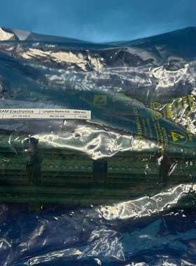 咨询SAM Electronics 模块 DEM401，型号C议价