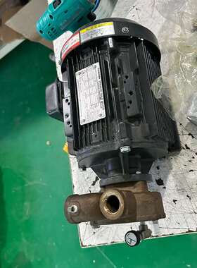 咨询nikuni水泵25khd15Z-V水泵，展会期间用议价