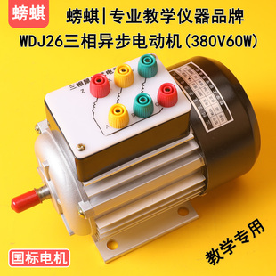 WDJ26教学用三相异步电动机鼠笼式60W380V实验用电工实训器材