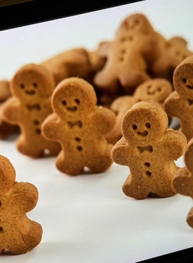 北京三里屯OUR BAKERY巧克力姜饼仔饼干糕点零食下午茶甜点