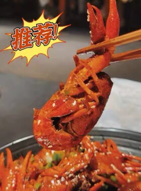 武汉巴厘龙虾万松园店网红小龙虾油焖大虾球熟食顺丰全国武汉直发