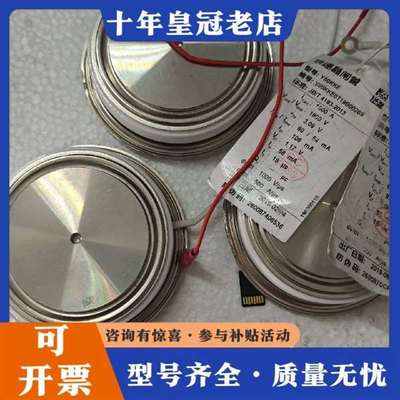 议价TECHSEM  Y60KKE KK1500A 16中频炉快维修