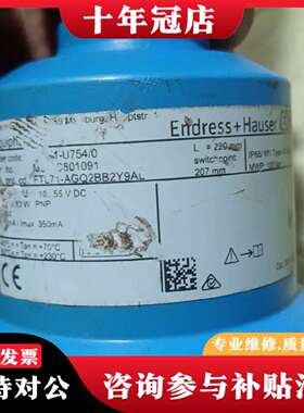 维修两只E+H音叉液位计 FTL71-AGQ2BB2Y9AL议价