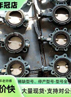 维修德国EBRO依博罗蝶阀Z014-A     DN100议价