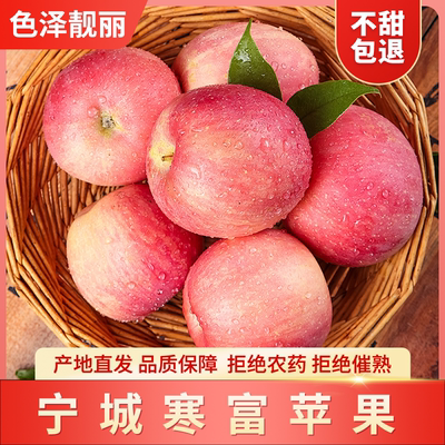 宁城寒富苹果内蒙古特产冰糖心新鲜水果产地直发不甜包退