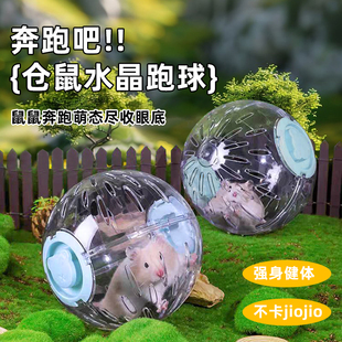 仓鼠静音跑轮塑料加厚滚轮防滑防咬金丝熊笼内玩具可拆卸宠物用品