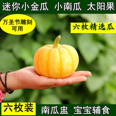 新鲜蔬菜贝贝6个包邮迷你小南瓜