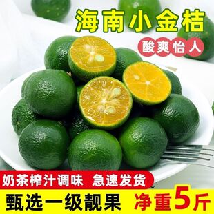 【精选】正宗海南小金桔皮薄多汁小青桔小青柠奶茶专用鲜果批发
