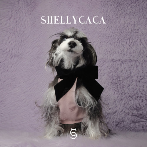 ShellyCaca 黑莓派对 宠物春夏背心 棉麻透气 小灵缇腊肠