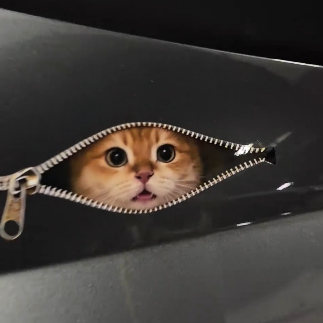 拉链猫咪布偶泰迪边牧柴犬可爱创意个性宠物汽车装饰贴金渐层泰迪