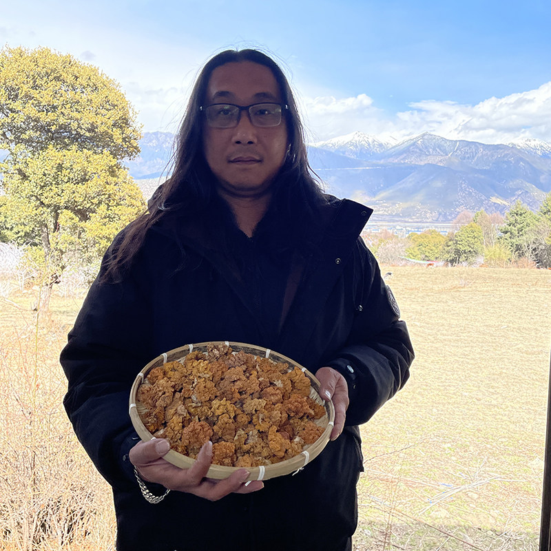 西藏直发[野生金耳]干货林芝海拔3200米原始森林金黄银耳100克装