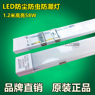 支架净化灯一体化防尘灯星致