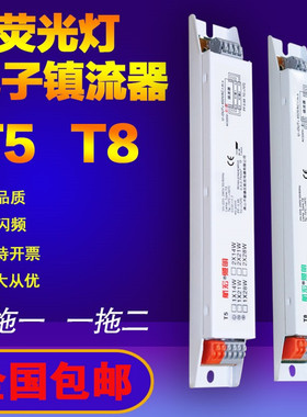 荧光灯带线镇流器14W28W15W40W支架格栅灯灭蚊灯日光灯电子镇流器