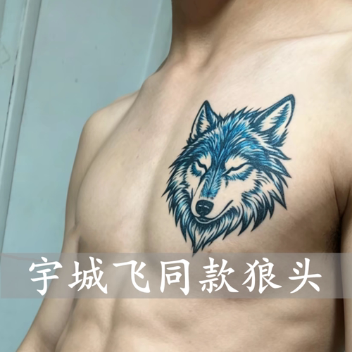 草本果汁纹身贴防水男持久仿真刺青手臂城南宇城飞胸口狼头半永久