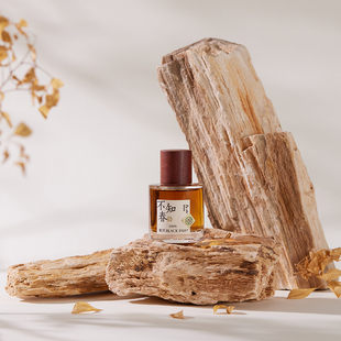 木化石拍摄石头小道具摄影石块摆件创意造景拍照陈列不规则景观石