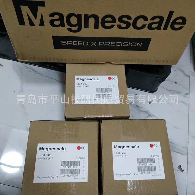 Magnescale索尼DT12N探头