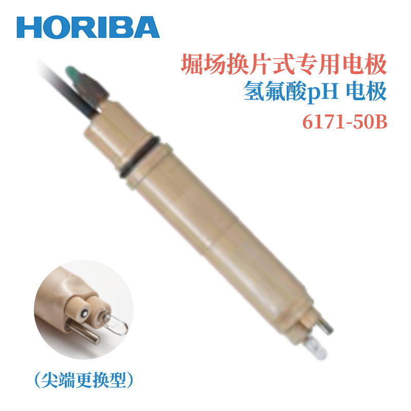 日本HORIBA堀场PH电极617