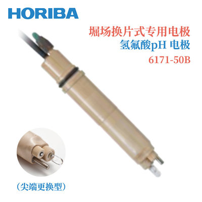 日本HORIBA堀场PH电极617