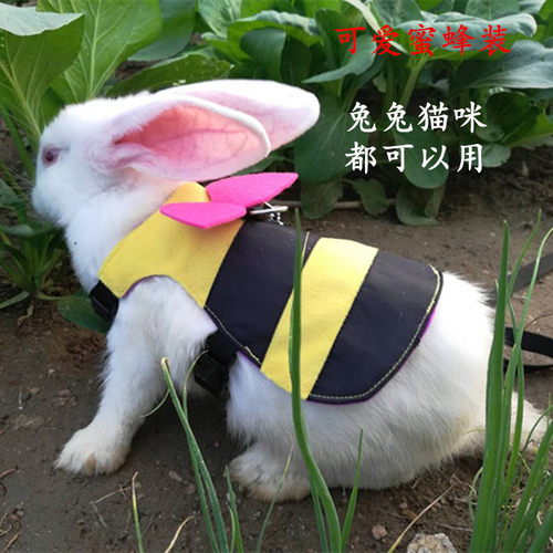 可爱蜜蜂装猫绳溜猫绳子泰迪胸背带兔牵引绳溜兔绳兔兔专用胸背带