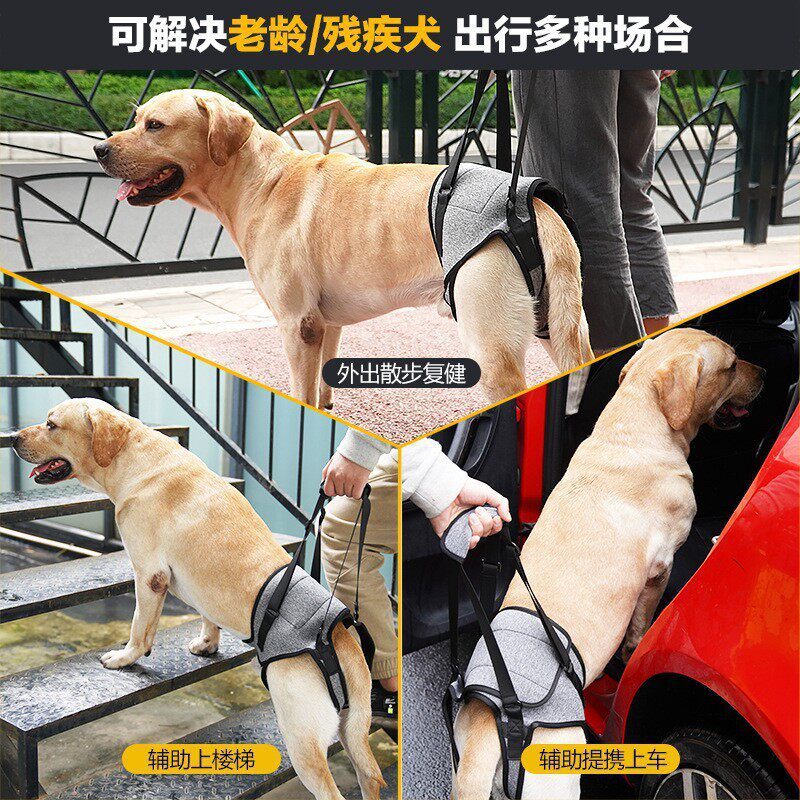 老龄受伤犬康复带辅助牵引跨境宠物用品受伤狗狗后腿辅助背带