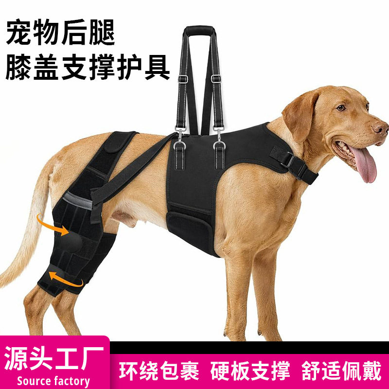 自主新品宠物狗狗护具狗后背后腿双保护带扶手辅助受伤支撑辅助套