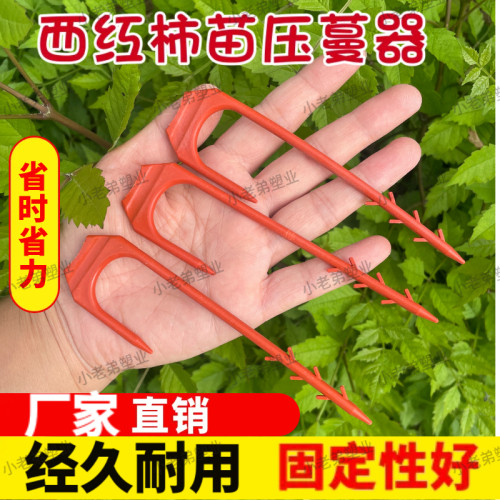西红柿压苗器冬瓜压苗器西红柿地插器压蔓叉粗藤蔓压苗西红柿叉子