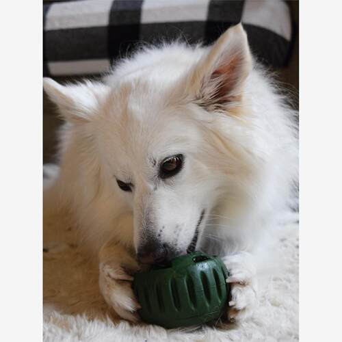 WoofPupsicle同款填食漏