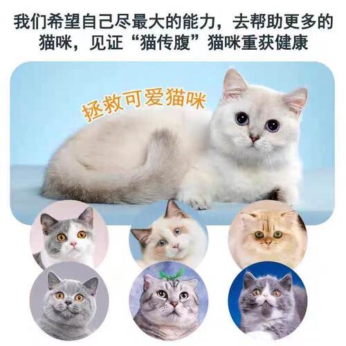 猫咪干湿性抑制剂水油性针剂油剂口服片剂营养液猫用