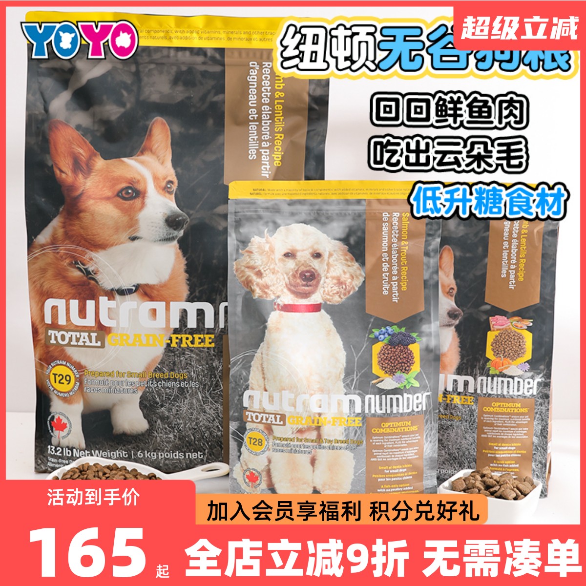 加拿大进口纽顿无谷低敏狗粮