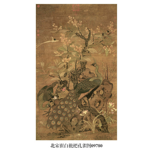 北宋崔白枇杷孔雀图古代花鸟画卷轴国画字画名画复制品仿古画挂画